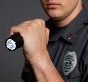 Detail Perimeter Security Case Study